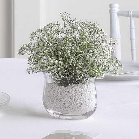 Baby S Breath Centerpiece Diy Flower Tutorials Florist Supplies Baby S Breath Centerpiece Diy Flower Tutorials Florist Supplies