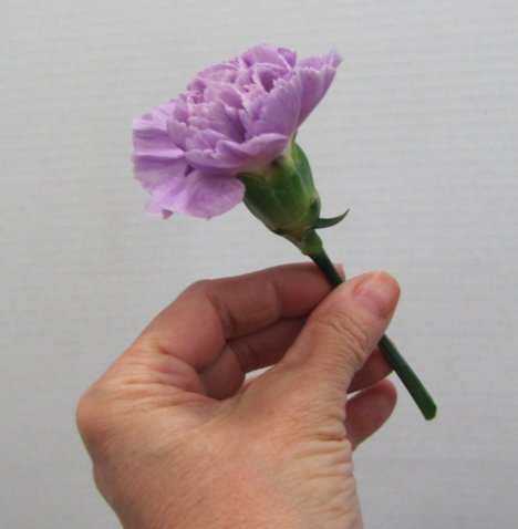 carnation centerpieces diy wedding flower tutorials what determines flower size