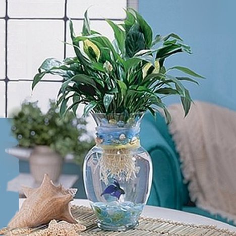 Fish Centerpiece - DIY Flower Design and Wedding Supplies
