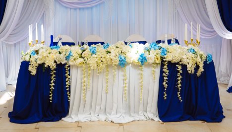 9FT Long And 52 Tall Chiffon Table Skirt, Romantic Extra Long Table Skirt –  Ling's Moment | lupon.gov.ph