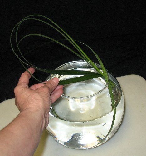 Wedding Centerpiece Ideas Free Step By Step Flower Tutorials